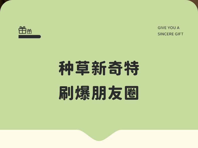 ins創意吐司面包機小夜燈少女禮物節日氛圍燈臥室床頭伴睡定時燈